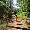 Camino muy recomendable para hacer en familia / Hiking route El Merkur en Baden-Baden 