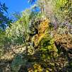 Detalle de la cascada repleta de musgo y vegetación / Hiking route Nacimiento del río Cuervo | SL-CU 14 