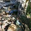 Surgencia bajo un árbol y escaleras cerca del nacimiento / Hiking route Nacimiento del río Cuervo | SL-CU 14 
