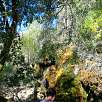 Cascada lateral donde si corre agua / Hiking route Nacimiento del río Cuervo | SL-CU 14 