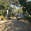 Zona de desvíos en la pista de regreso / Hiking route Costa Brava | Palamós | Cala Estreta 