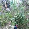 Continuamos bajando por el barranco de la Fuente / Hiking route Pasarelas del Vero 