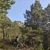 Camino marcado con hitos -poco señalizado pero no es perdedor- / Hiking route Cadí en familia: El Querforadat  