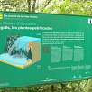 El secreto de las vías verdes / Hiking route Riera de Cogolls | Salt del Molí dels Murris 
