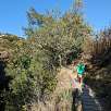 Pasarela de madera en el retorno / Hiking route Pozas del Salt Gros del Catllar 
