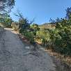Al final de la primera subida podemos seguir de frente o tomar el sendero a la derecha -algo más directo- / Hiking route Pozas del Salt Gros del Catllar 