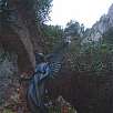Encontraremos gran cantidad de esculturas referidas a los misterios del gozo y el placer / Hiking route La Santa Cova 