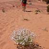 De regreso por el desierto / Hiking route Coyote Buttes | The Wave 