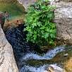 Cascada del toll de l