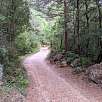 Pista de tierra que seguimos de frente / Hiking route Toll de l