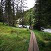 Pasarelas de madera en una zona inundable en el bosque / Hiking route Sendero familiar por el río Flem | Suiza 