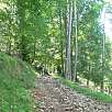 Rampas de subida a la pista del Roc de la Lluna / Hiking route Vuelta al Catllaràs y chalet de Gaudí 