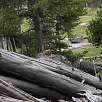 Marmota de camino a Observation Point / Hiking route Yellowstone | Old Faithful 