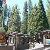 Cabinas de entrada al Parque Nacional de Yosemite -Pago de $20- / Hiking route Yosemite | Mariposa Grove 