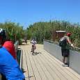 Puente que nos lleva al mirador del Delta 