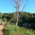 Descendemos hacia la Resclosa del río Llobregat 