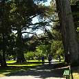 Entrando al Golden Gate Park 
