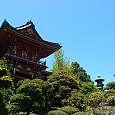 En el Jardín Japonés II 