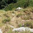 Subimos por la ladera -siempre asegurado con sirga- 