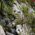 Inicio de la vía ferrata 