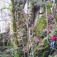 Puente nepalí en el bosque junto al barranco 