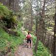 The path becomes a bit wilder 