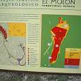 Panel Informativo © Swift Wild 