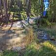 Cruzamos el Arroyo de la Madera -aguas abajo hay una zona con pozas donde bañarse- 