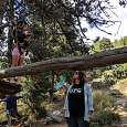 Puente de equilibrio de madera 