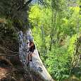 Continuamos bordeando la pared del roquero entre vegetación sin dificultad. Bajamos por una pared sobre la carretera BU-561 que le da sensación aérea y en avance lateral nos ayudamos de grapas y roca 