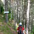 Sign marking the route 