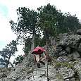 First stemples in the most vertical section 