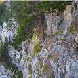 First lateral section -among trees- 