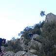 Three first ledges up to the small tree 