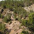View towards the reception area of ​​the optional 70 meter zip line 