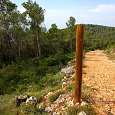 We link with the return track 