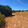 Campo en lo alto del risco 