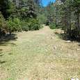 Salimos del torrente por este prado y seguimos la pista de subida 