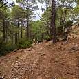 Return path 