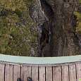 By the footbridge that crosses the gorge 