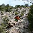 Todavía debemos descender por un empinado tramo equipado hasta el barranco de San Martín 