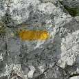 Seguimos las marcas amarillas hasta la misma cima del Pedraforca -Pollegó Superior- 