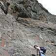 Here is where the vertical section starts 
