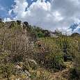Subida escalonada por troncos que se mueven más que las anteriores plataformas de madera 