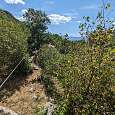 Cruzando un primer puente tibetano para entrar en calor en el circuito verde 