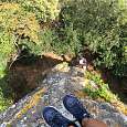Corta y vertical 