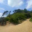 Cruce de pistas de subida al Montpedrós 