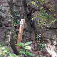 Indicador Roca Dreta 