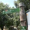 Sign for the GR-92 in the approximation 