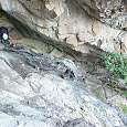 Paso encajonado 